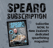 web SPEARO square new.jpg